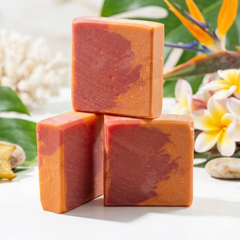 Tropical Vacation || Shea Soap