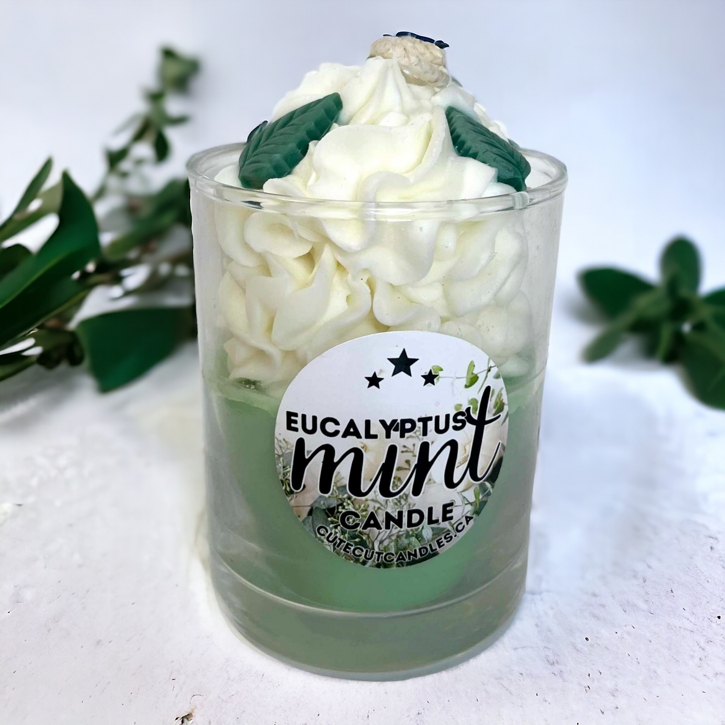 Eucalyptus Mint || Exclusive Candle