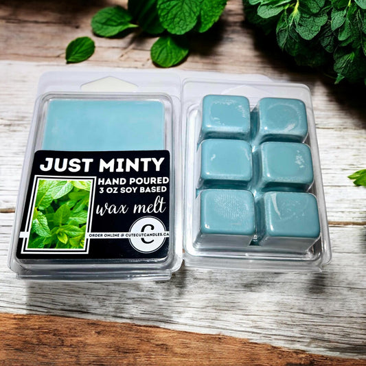 Just Minty || Wax Melt