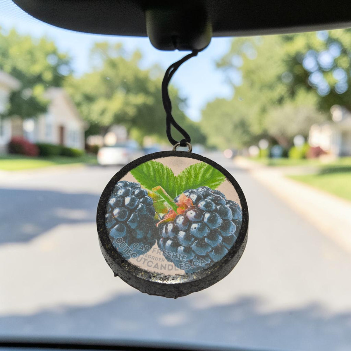 Blackberry & Sage || Car Freshie